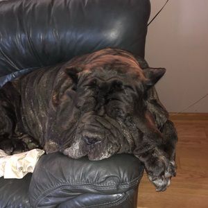 Meet your Posher, Lisa